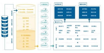 雅森科技陳暉 十年求索，探路醫(yī)療AI的上海實(shí)踐與需求邊界